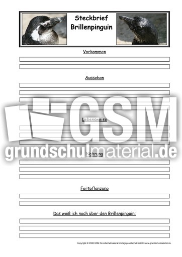 Brillenpinguin-Steckbriefvorlage.pdf
